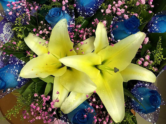 保定鲜花预订-广场花坛摆设设计